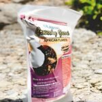 OLAJESU CRUNCH GARRI